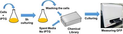 Identifying Metabolic Inhibitors to Reduce Bacterial Persistence